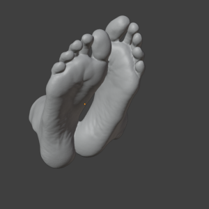 Female feet scan